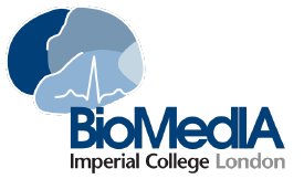 BiomediaImperial logo